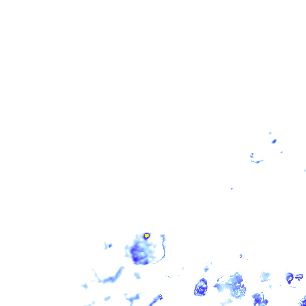 rainLayer