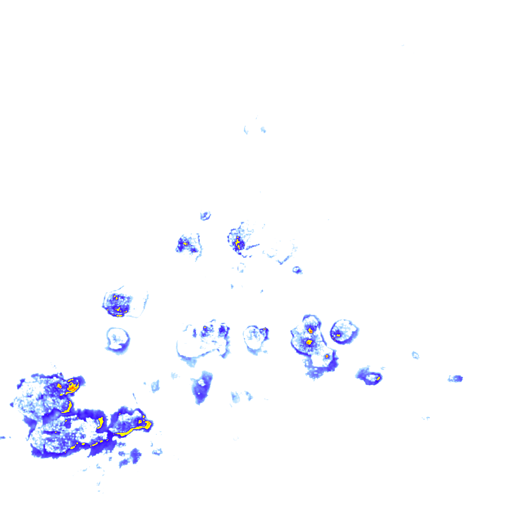 rainLayer