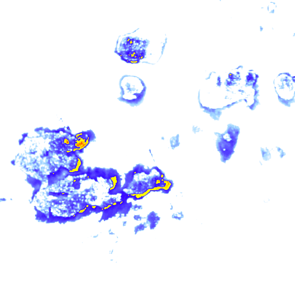 Image Layer