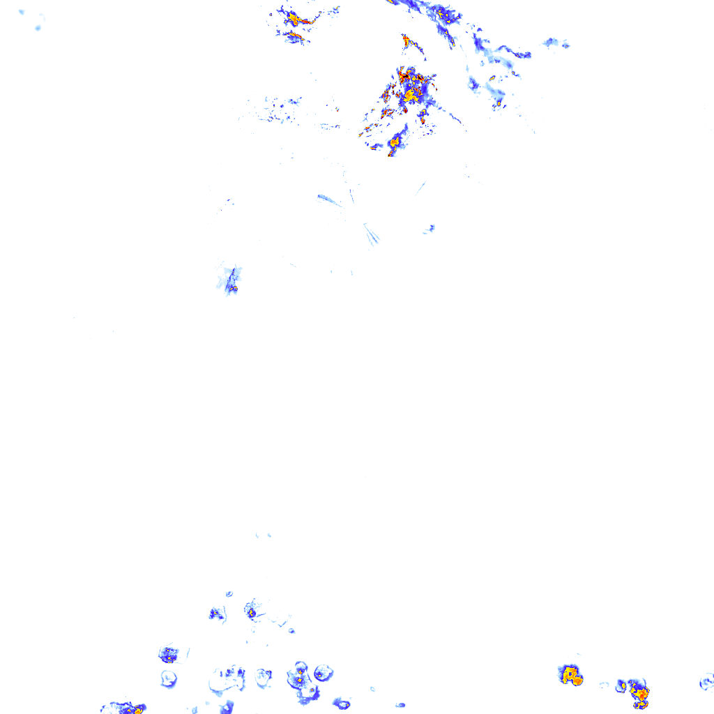 rainLayer