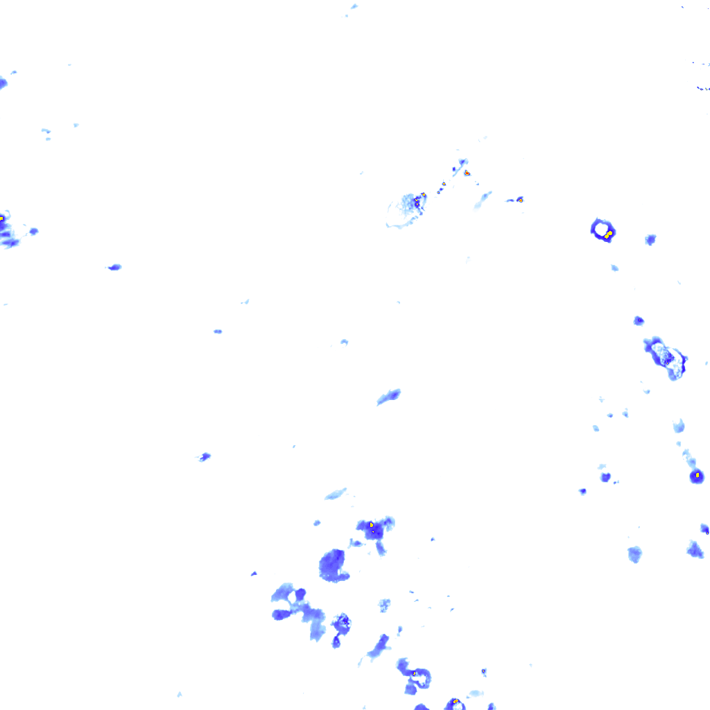 rainLayer