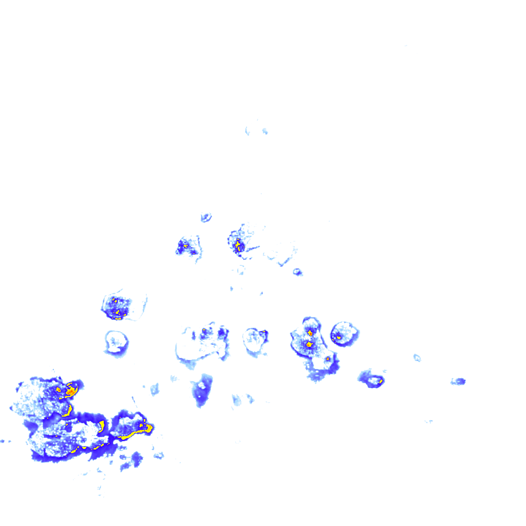 rainLayer