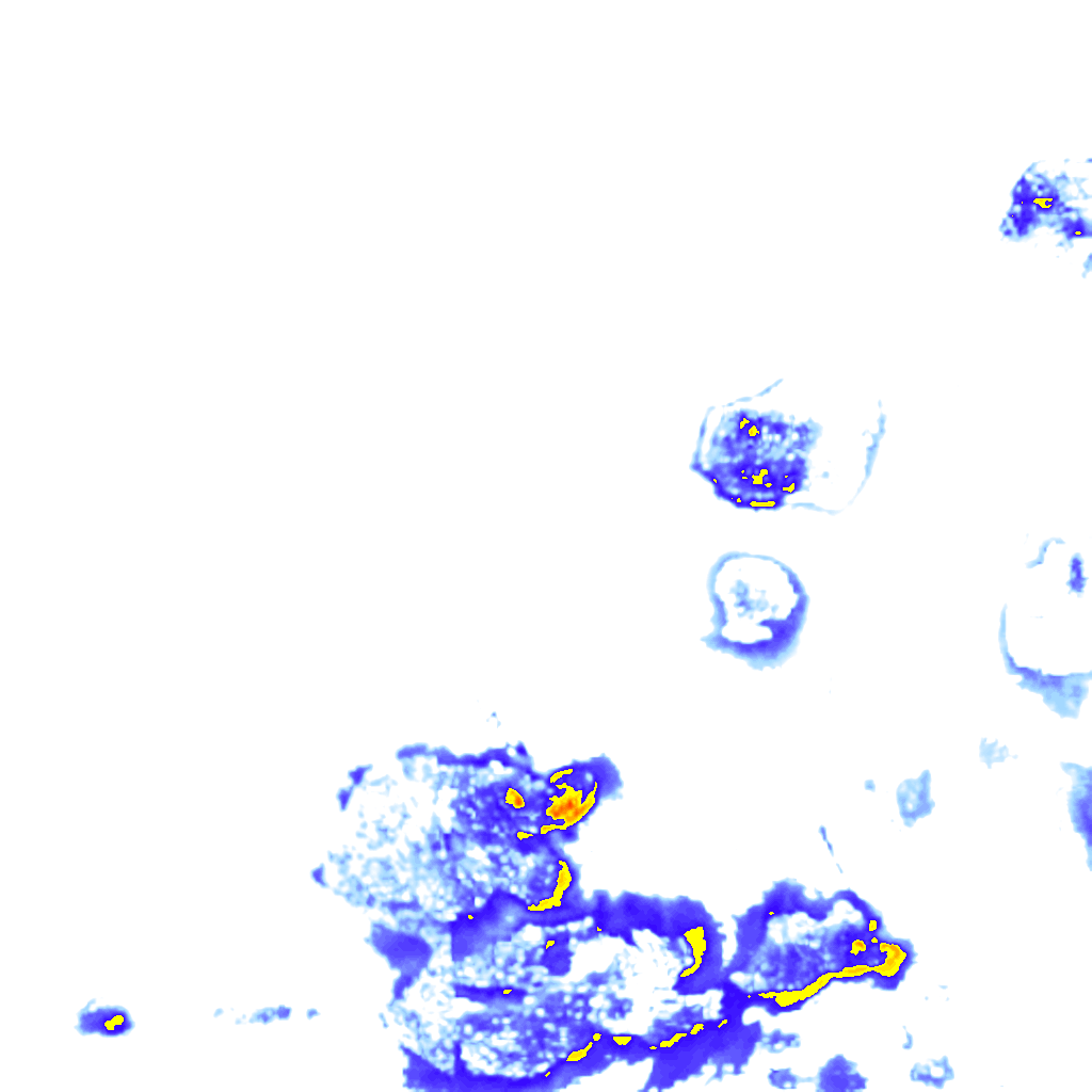 rainLayer
