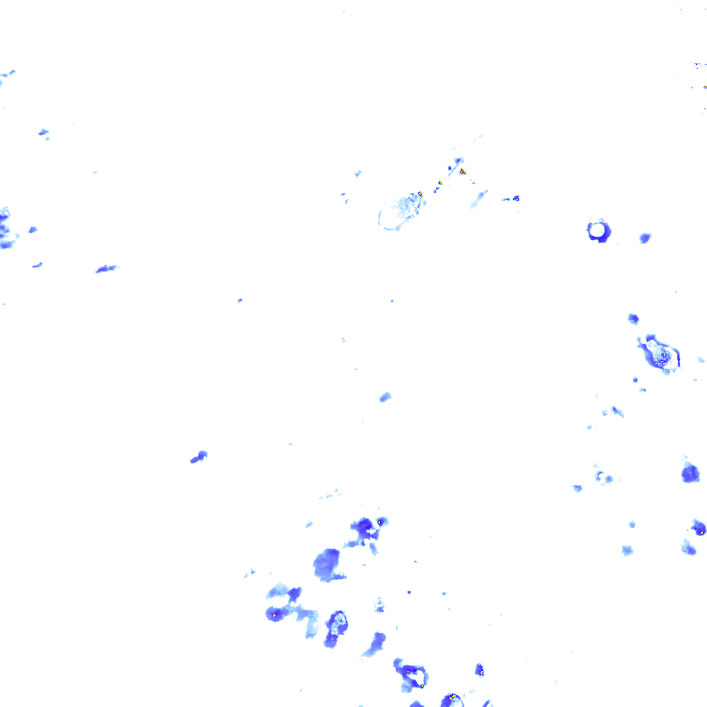 rainLayer