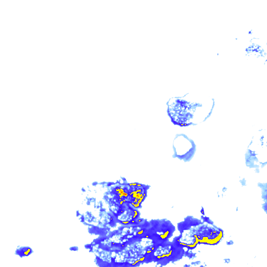 Image Layer