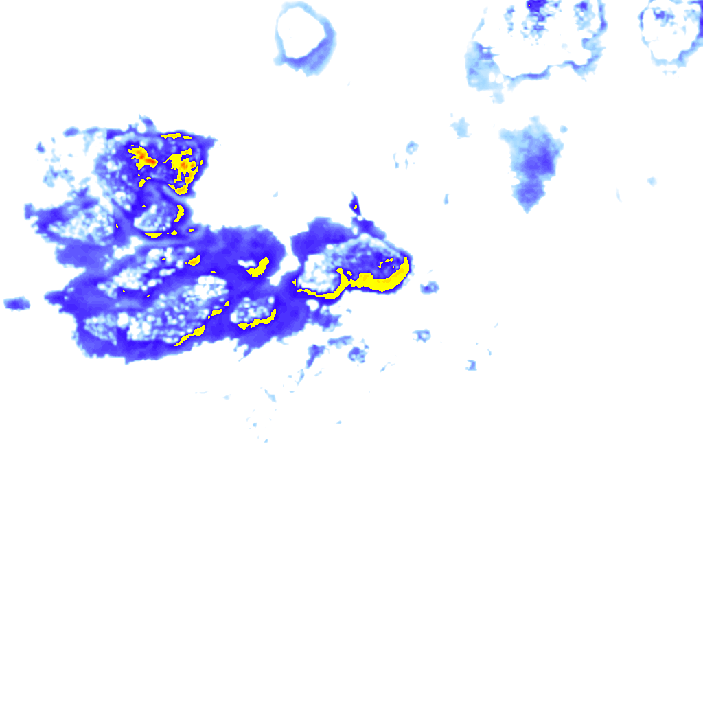 Image Layer