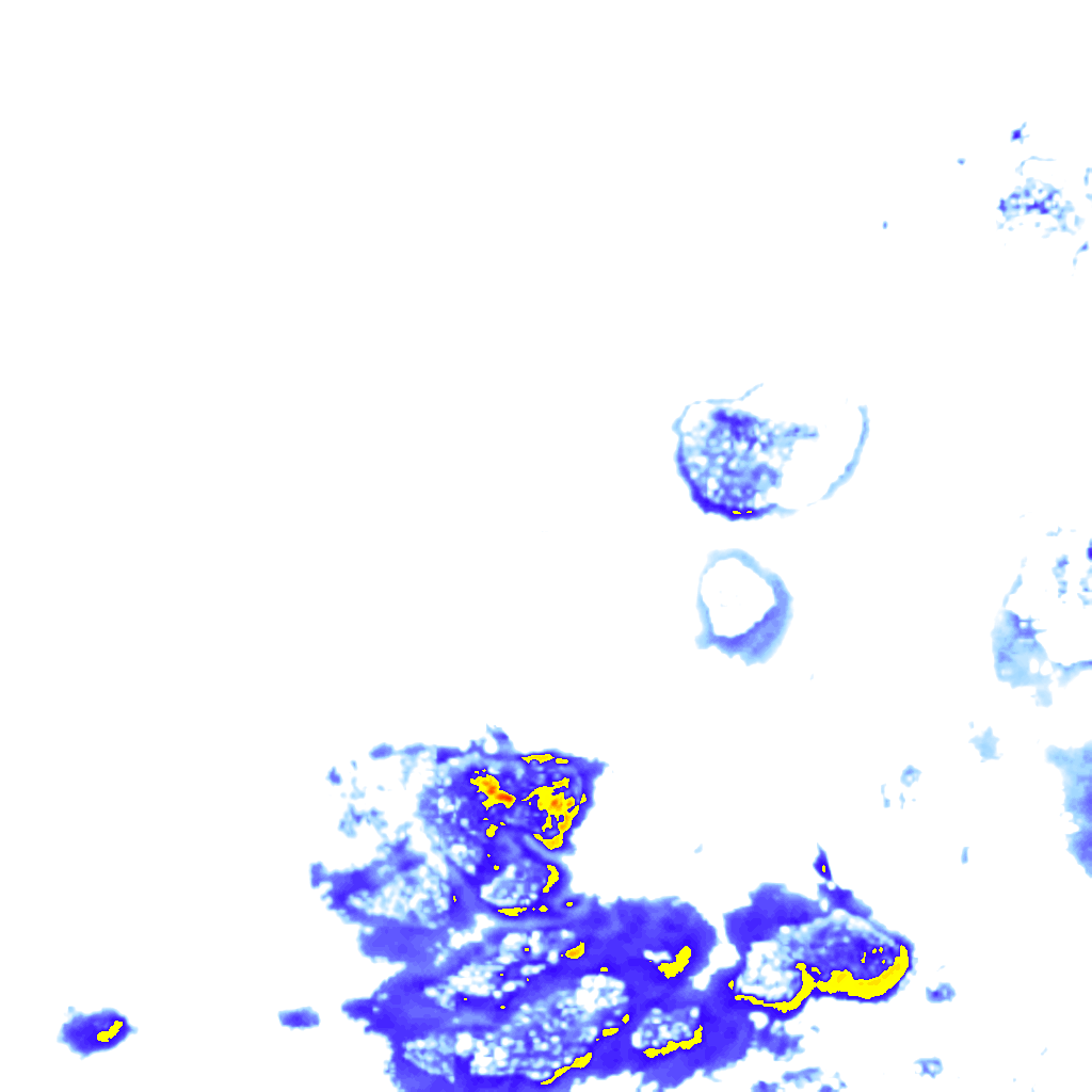 rainLayer