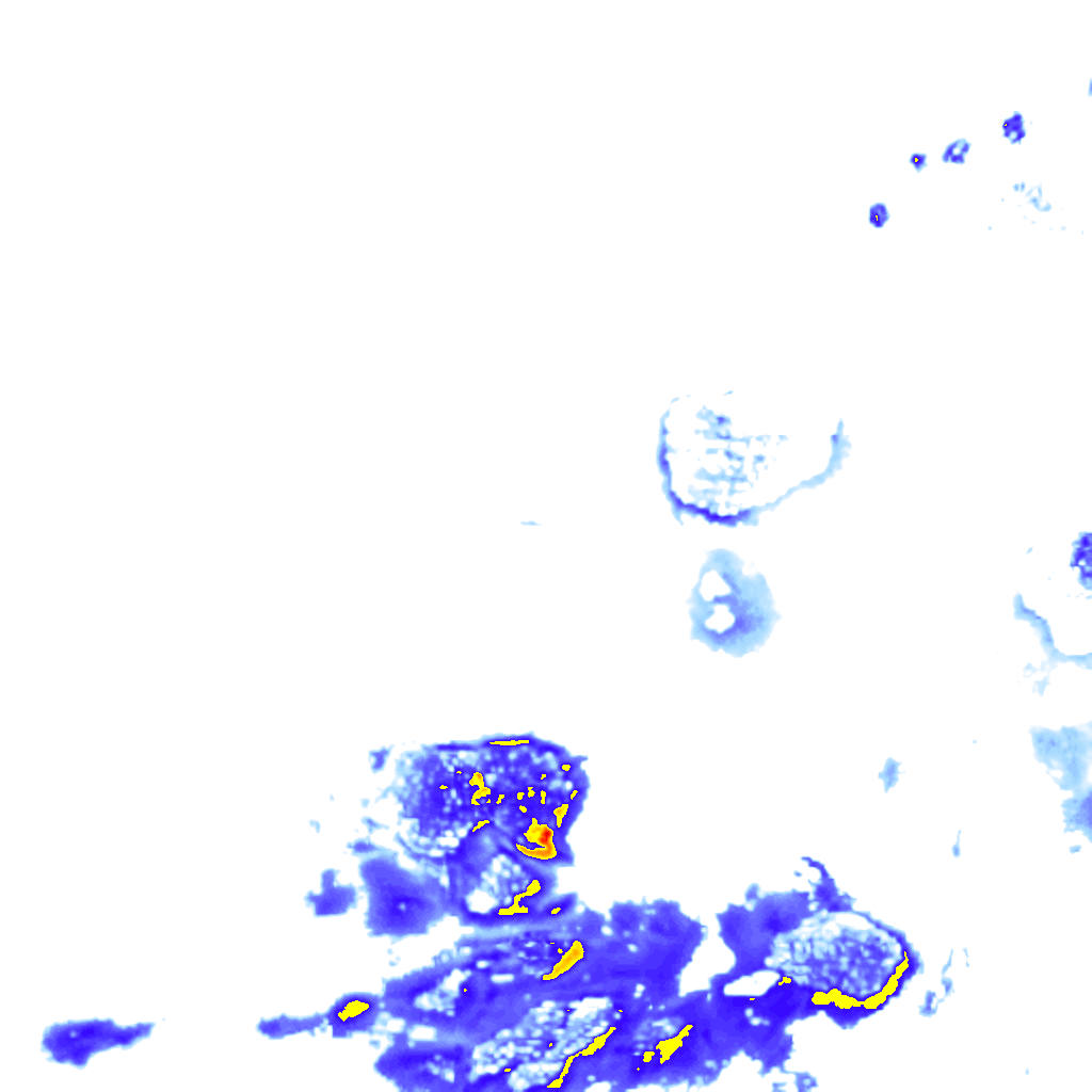 rainLayer