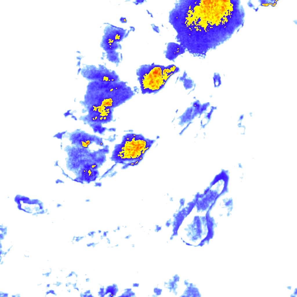Image Layer