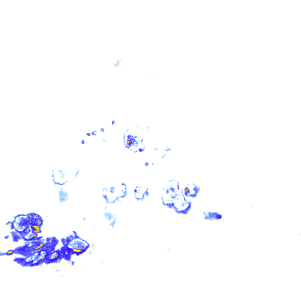 rainLayer