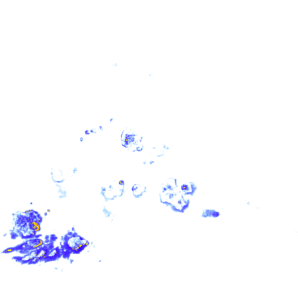Image Layer