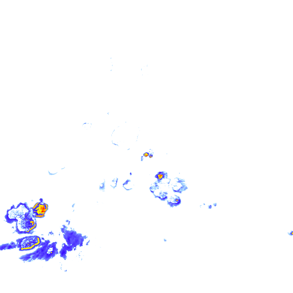 rainLayer