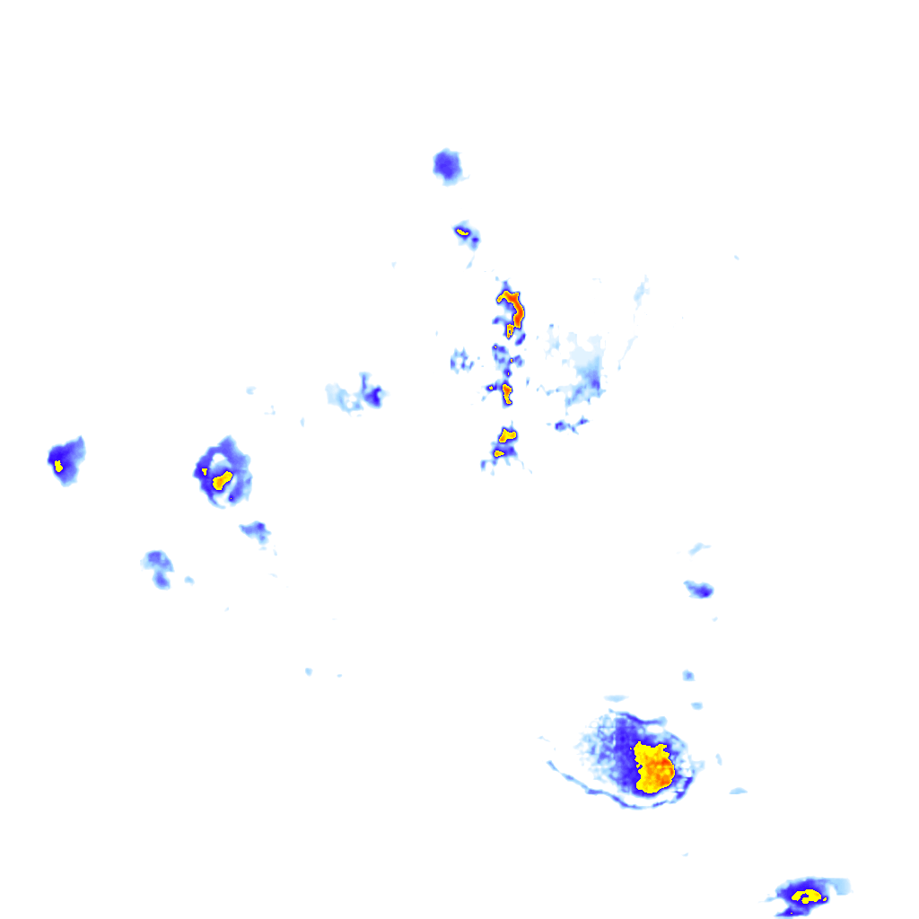 Image Layer