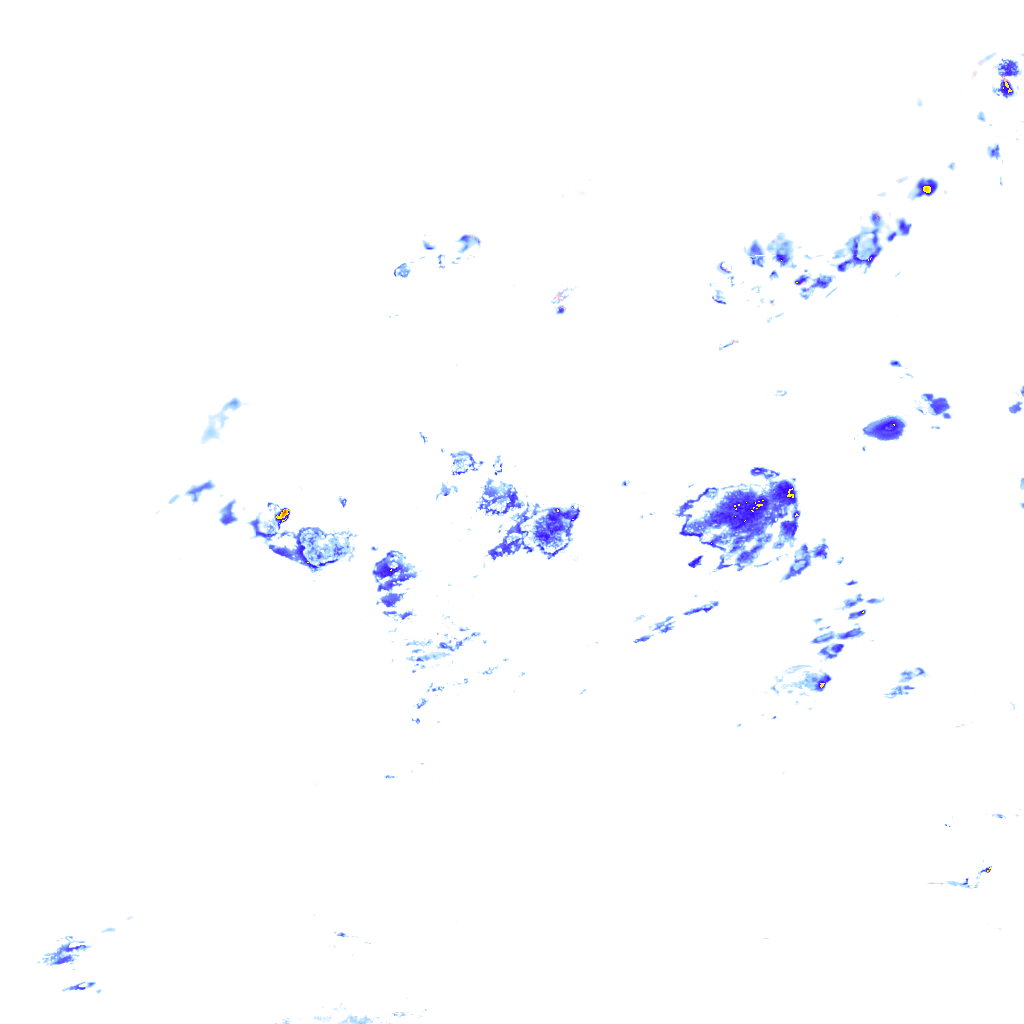 rainLayer