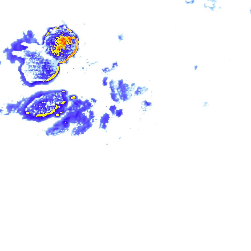 rainLayer