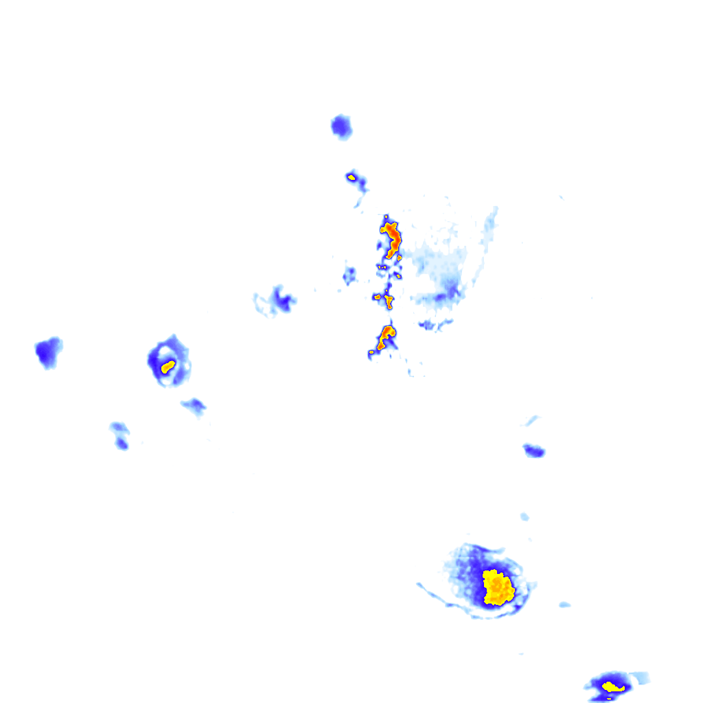 rainLayer