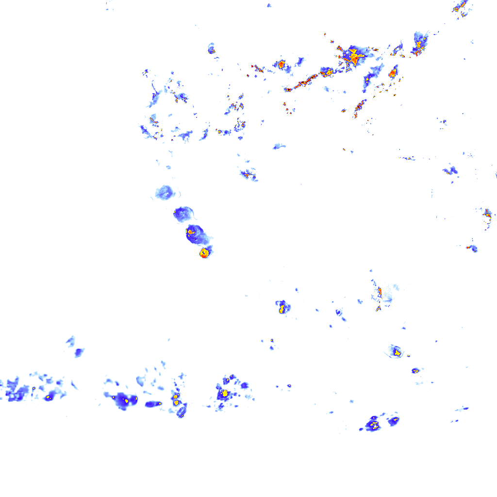 rainLayer