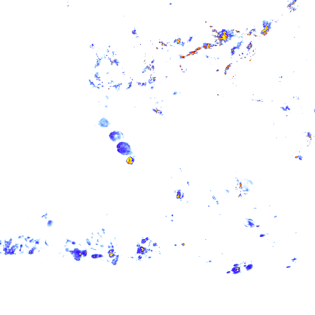 rainLayer
