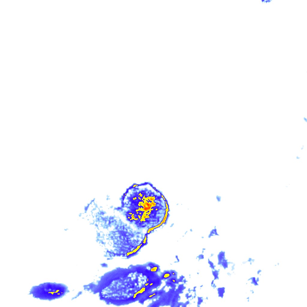 rainLayer
