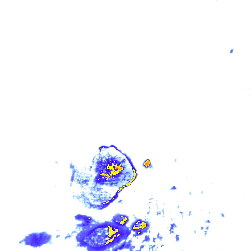 rainLayer