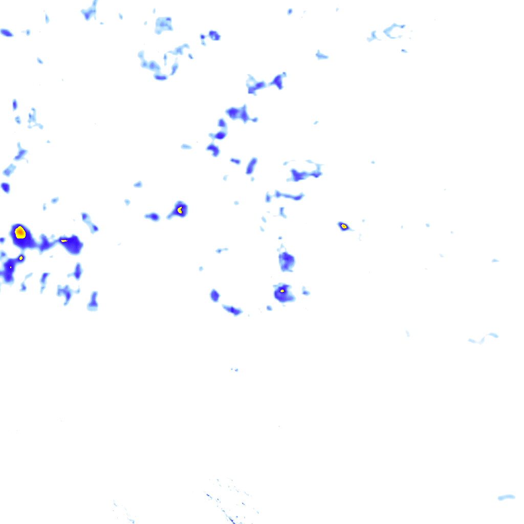 rainLayer