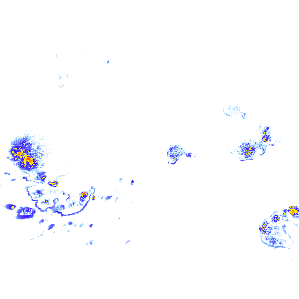 rainLayer