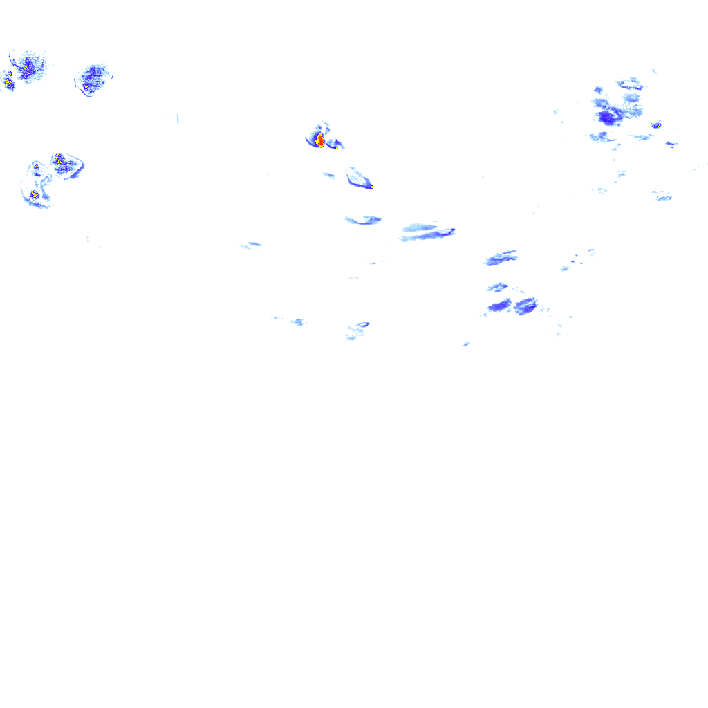 rainLayer