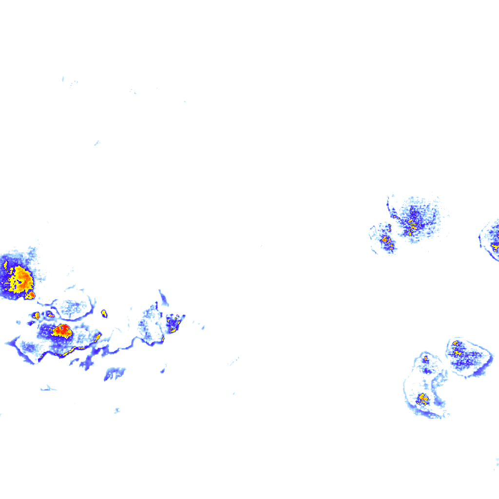 rainLayer