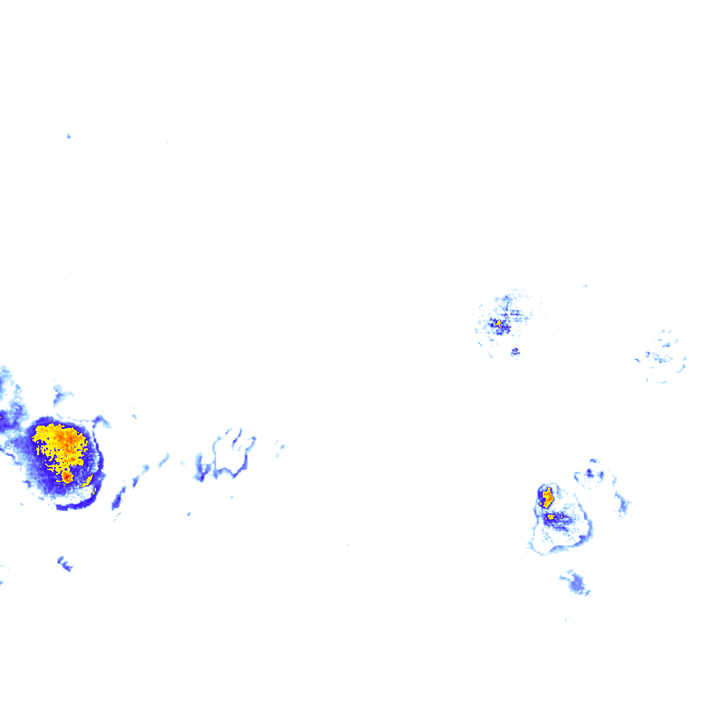 rainLayer