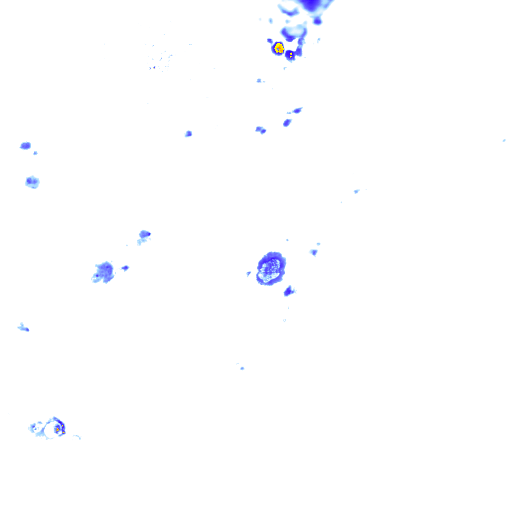 rainLayer
