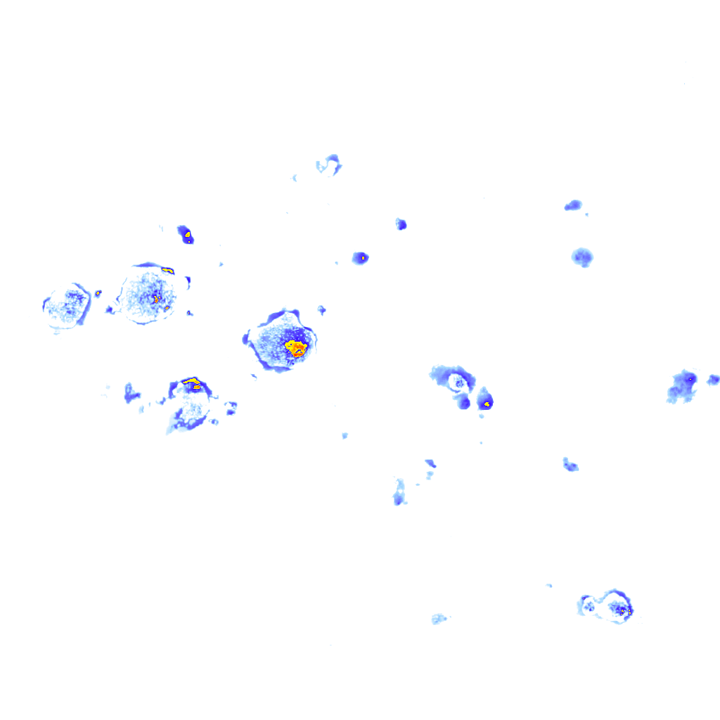 Image Layer