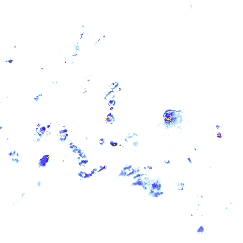 Image Layer