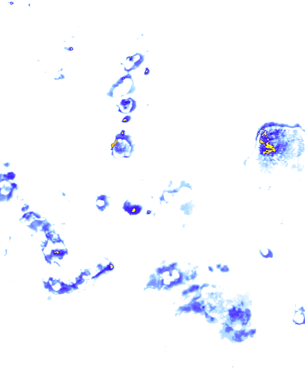 Image Layer