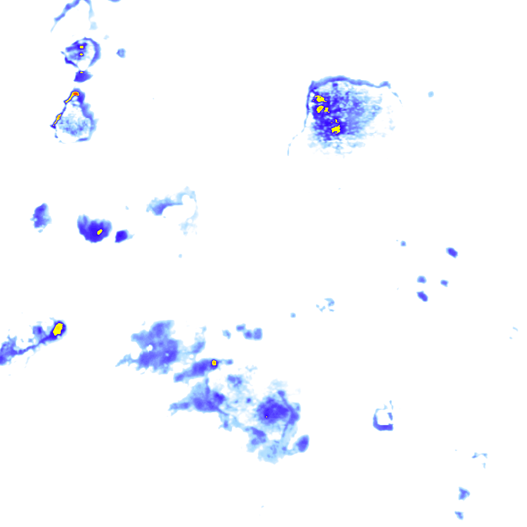 Image Layer