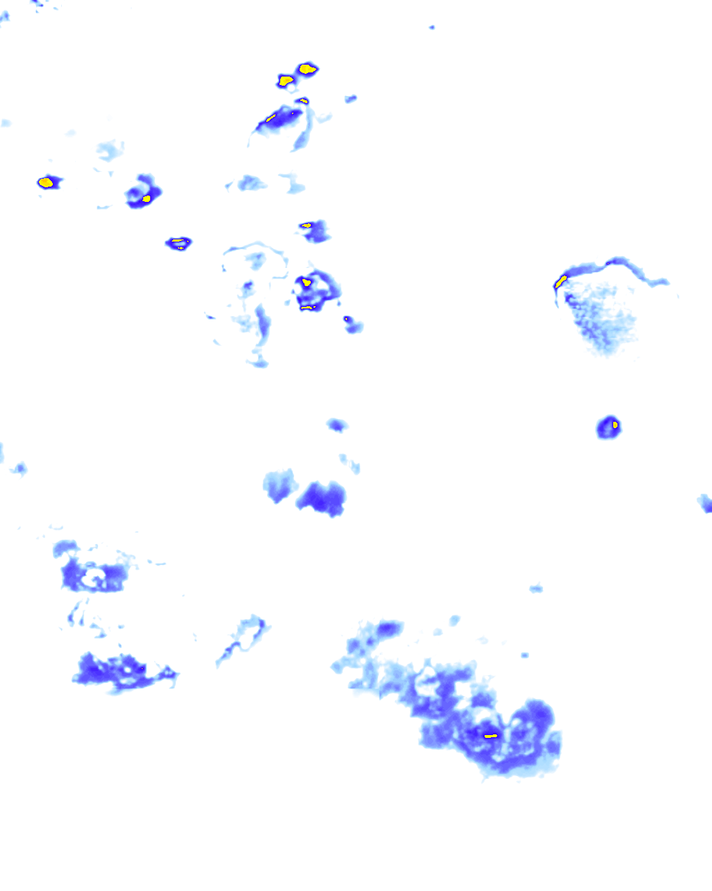 rainLayer