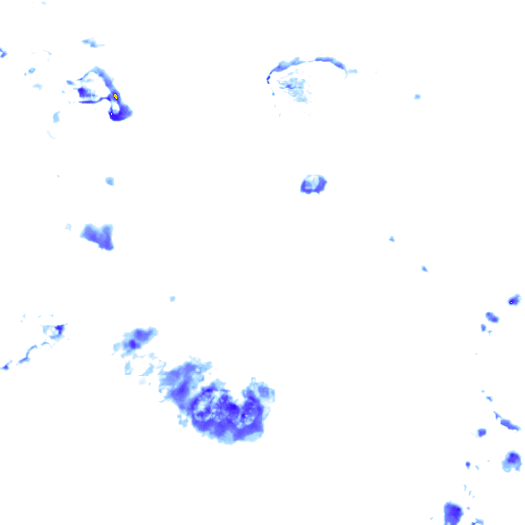 rainLayer
