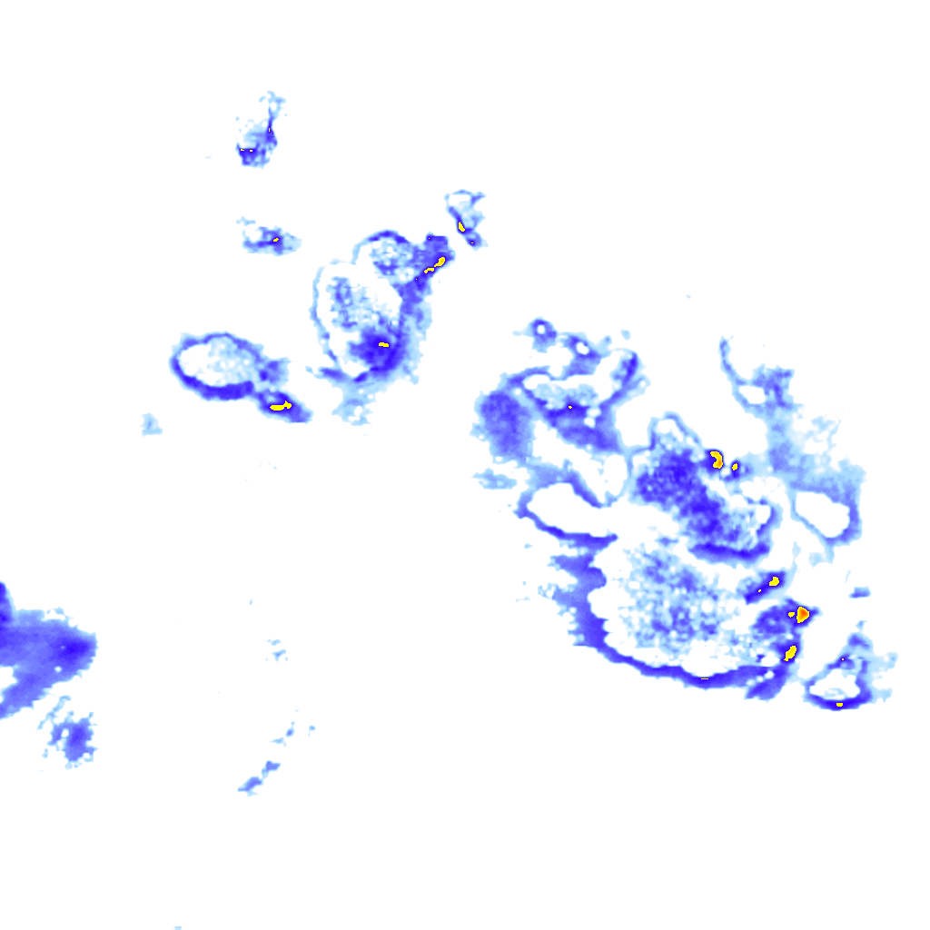 Image Layer
