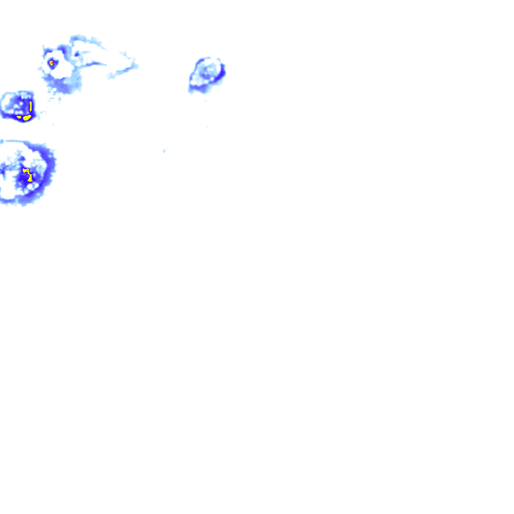 rainLayer