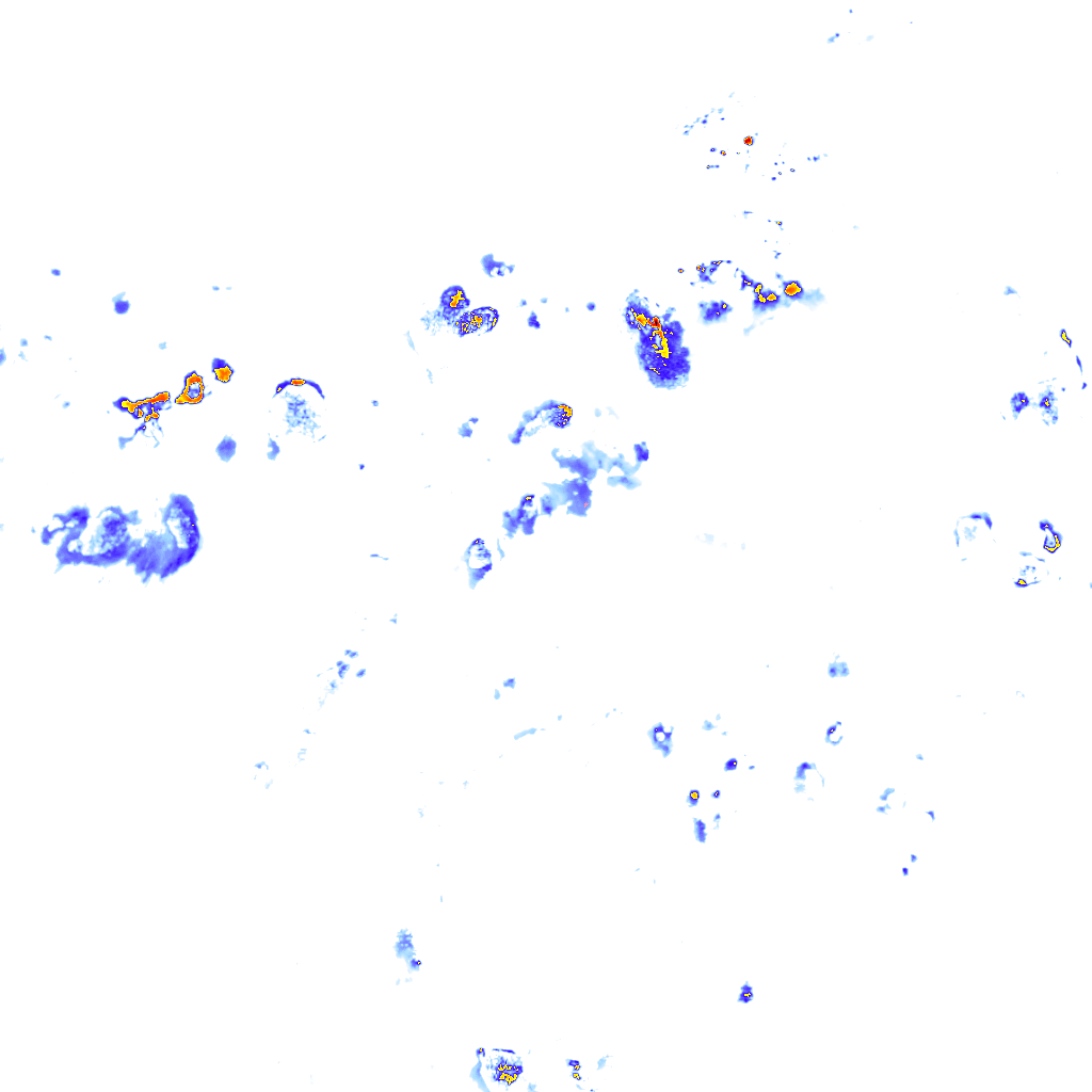 rainLayer