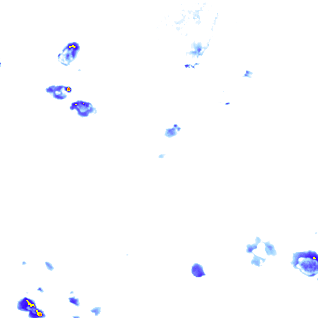 rainLayer