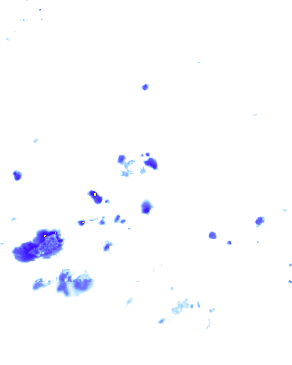 rainLayer
