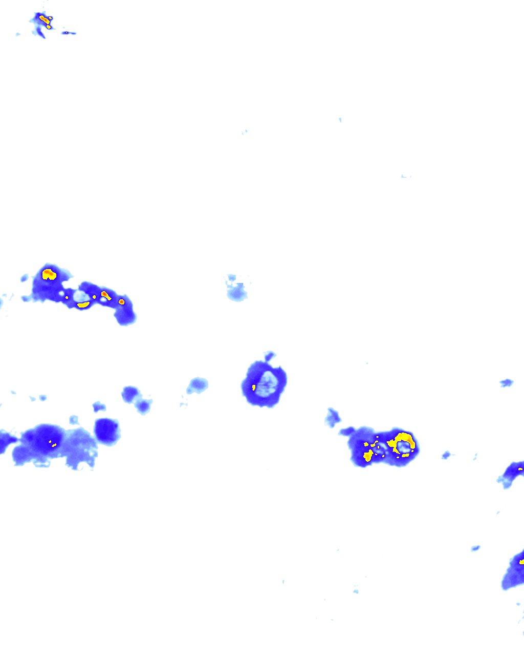 rainLayer