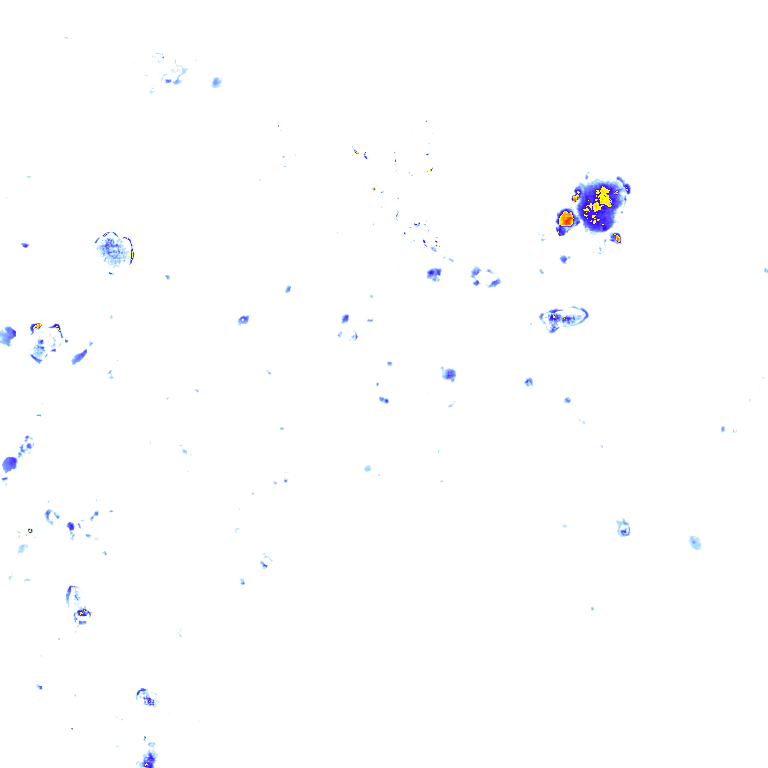 rainLayer