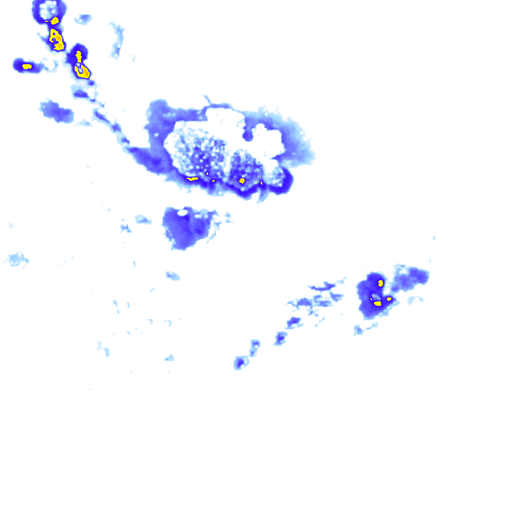 Image Layer
