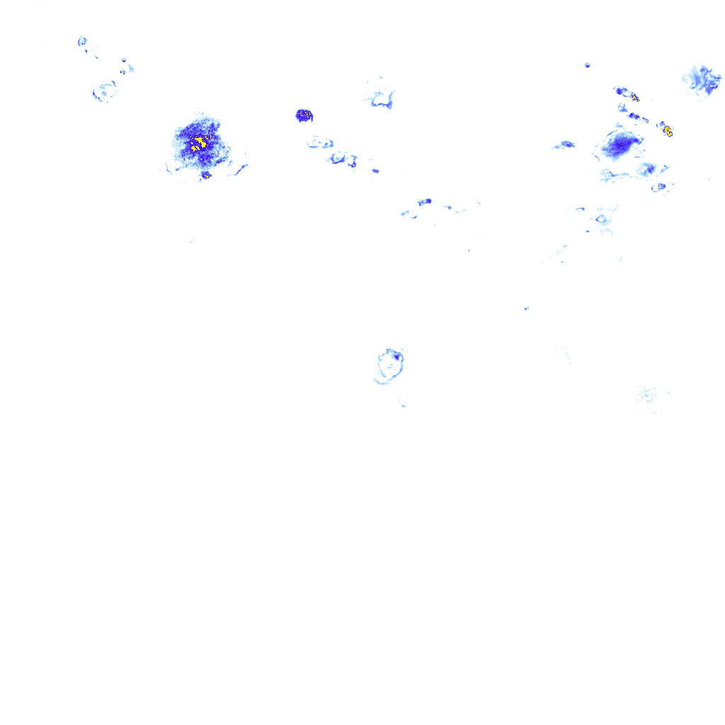 rainLayer