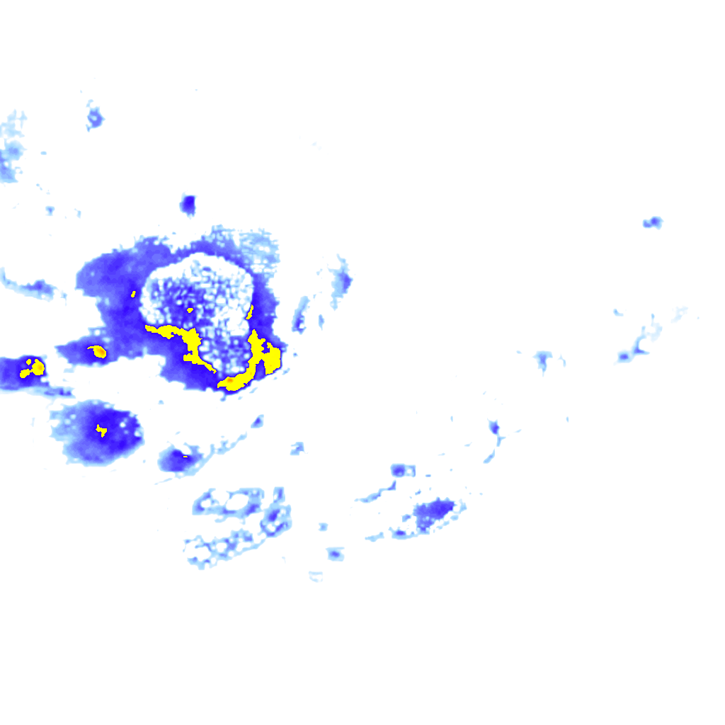 rainLayer
