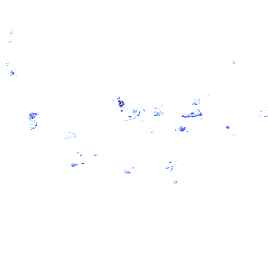 rainLayer