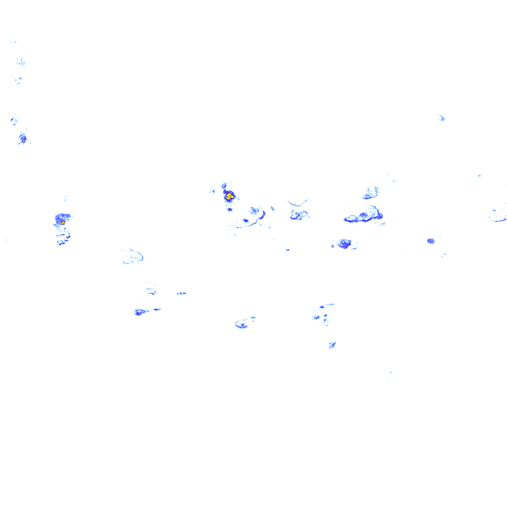 rainLayer