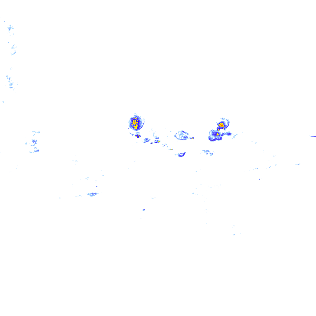 rainLayer