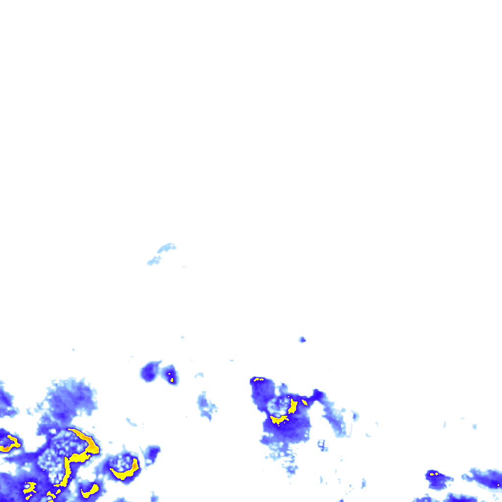 rainLayer